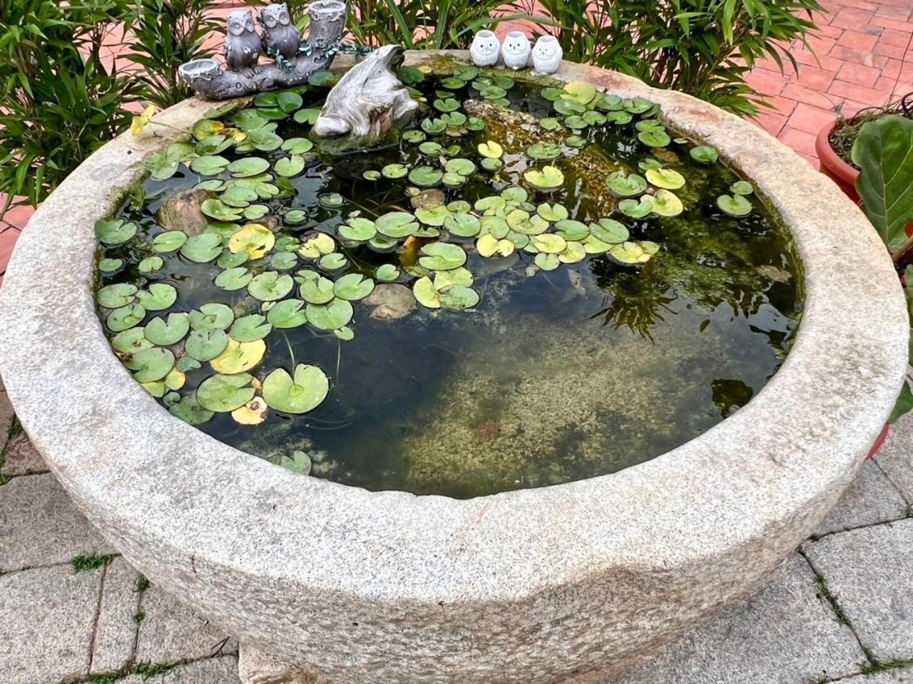 Shenten Homestay Jincheng Εξωτερικό φωτογραφία